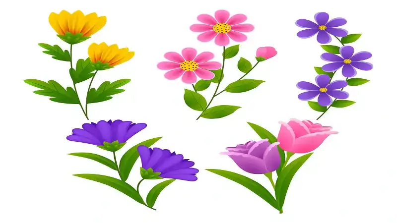 clipart:5ftz0amu-rq= flowers